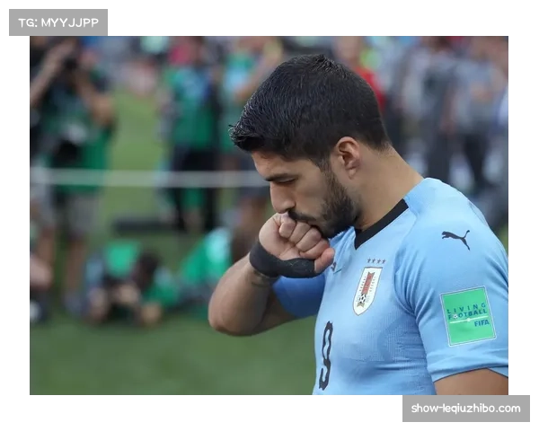 H组西班牙乌拉圭优势明显 沙特佛得角难造威胁 H组西班牙乌拉圭优势明显 沙特佛得角难造威胁